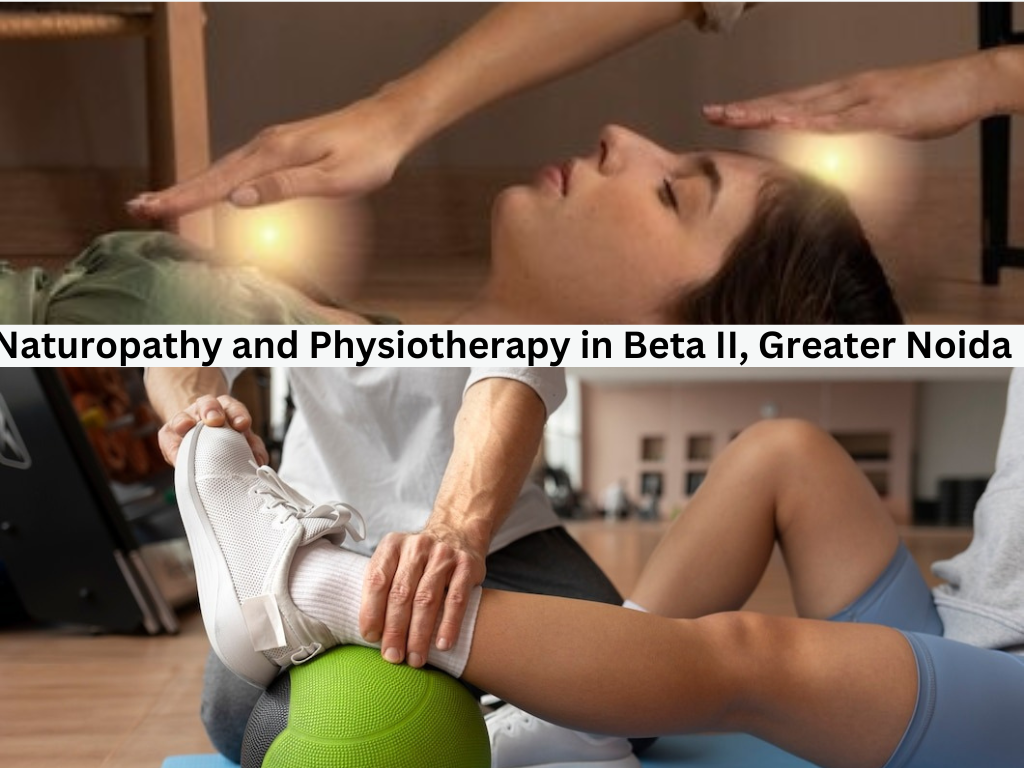 Naturopathy and Physiotherapy in Beta II,Greater Noida