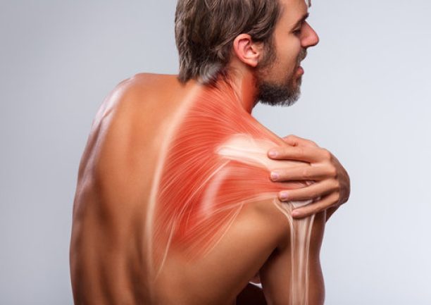 360_F_311258796_6MPHAeRRBTi6hUFXJeDaoxbskzlkHdHD 360_F_311258796_6MPHAeRRBTi6hUFXJeDaoxbskzlkHdHD