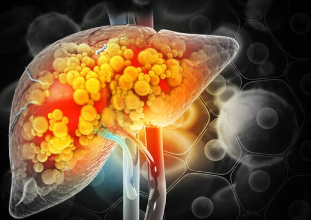 360_F_525564337_9sBIHAyzVZxN53Om1T8paeQevGZPGSX7 360_F_525564337_9sBIHAyzVZxN53Om1T8paeQevGZPGSX7