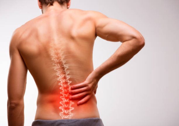 Male torso seen from behind. Male torso seen from behind.